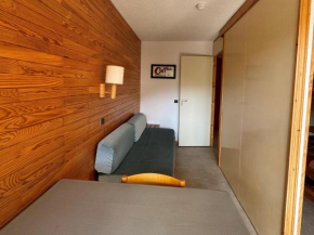 Studio fonctionnel au pied des pistes avec balcon, animaux admis - FR-1-181-2276